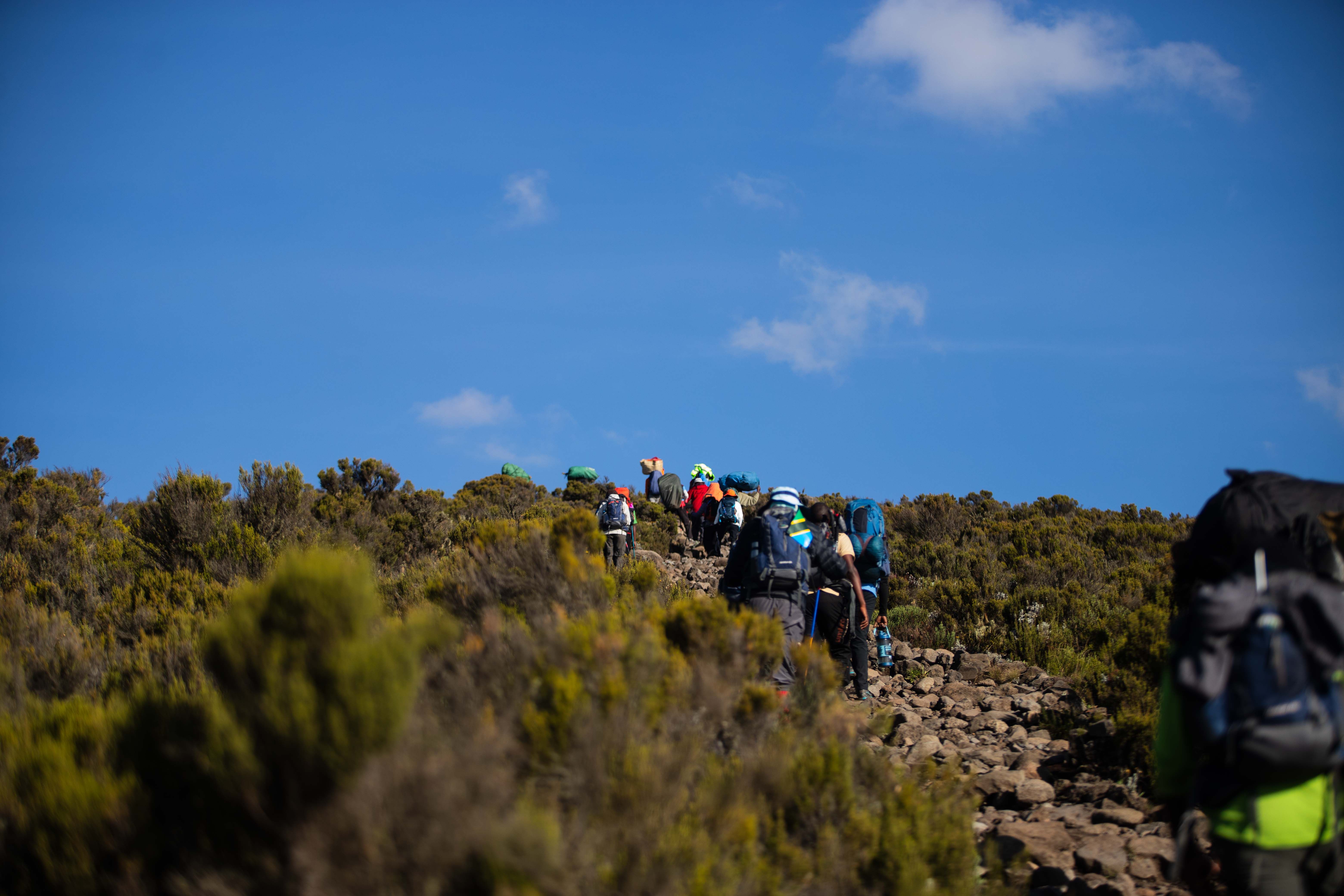 Kilimanjaro Tourism