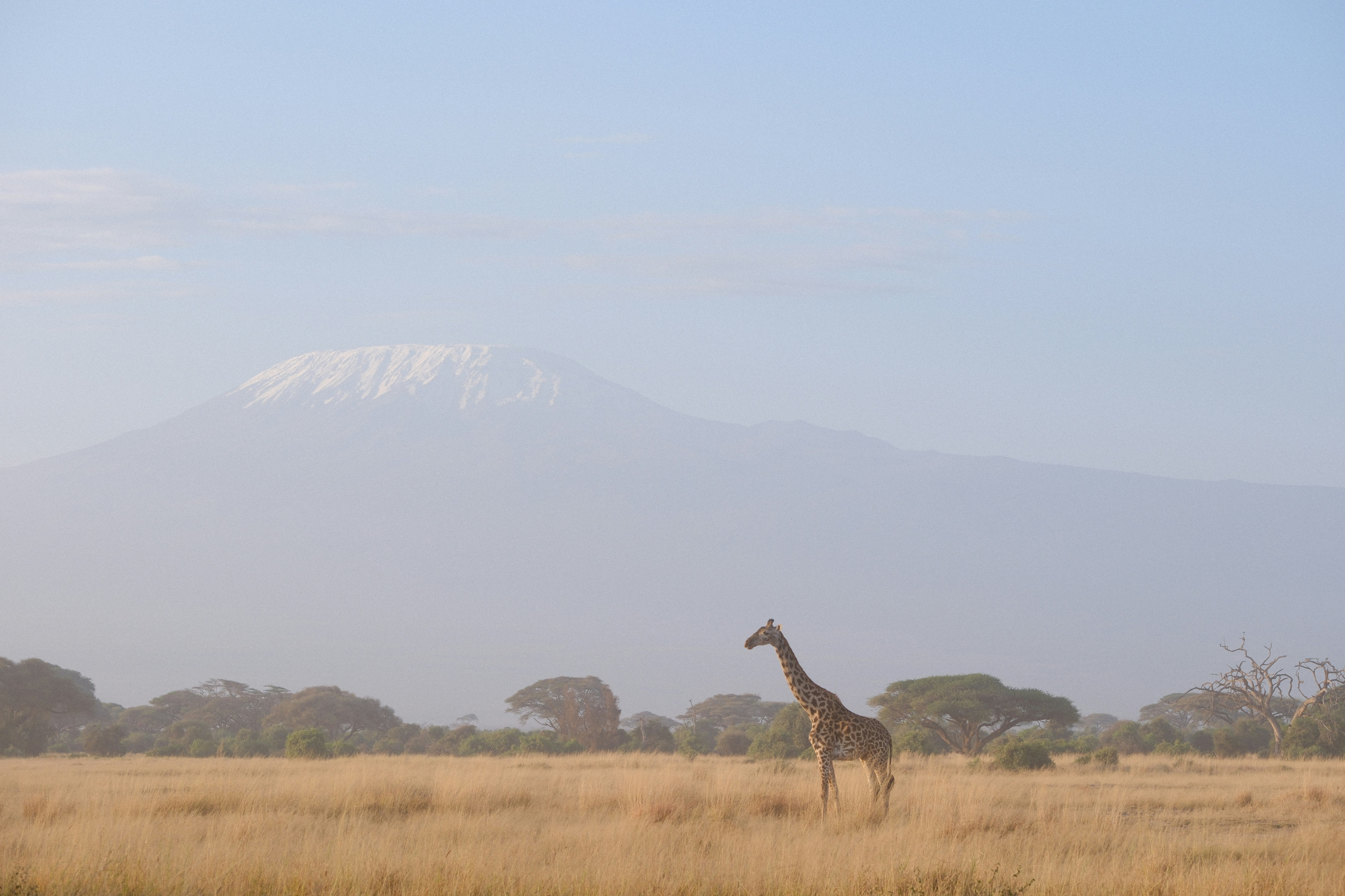 Kilimanjaro Volcano